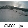CIMG0011.jpg[640�~480]