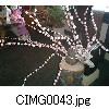 CIMG0043.jpg[640�~480]