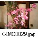 CIMG0029.jpg[640�~480]