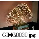 CIMG0030.jpg[640�~480]