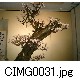 CIMG0031.jpg[640�~480]