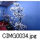 CIMG0034.jpg[640�~480]