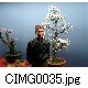 CIMG0035.jpg[640�~480]