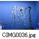 CIMG0036.jpg[640�~480]