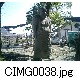 CIMG0038.jpg[640�~480]