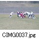 CIMG0037.jpg[640�~480]