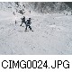CIMG0024.JPG[640�~480]
