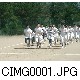 CIMG0001.JPG[640�~480]