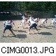 CIMG0013.JPG[640�~480]