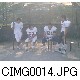 CIMG0014.JPG[640�~480]