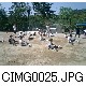 CIMG0025.JPG[640�~480]
