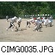 CIMG0035.JPG[640�~480]