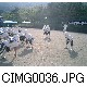 CIMG0036.JPG[640�~480]