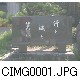 CIMG0001.JPG[640�~480]