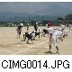 CIMG0014.JPG[640�~480]
