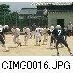 CIMG0016.JPG[640�~480]