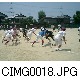 CIMG0018.JPG[640�~480]