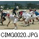 CIMG0020.JPG[640�~480]