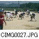 CIMG0027.JPG[640�~480]