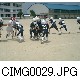 CIMG0029.JPG[640�~480]